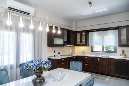 Villa Emily in countryside
