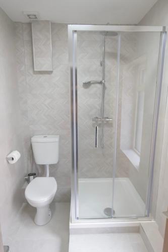 a white bathroom with a shower and a toilet at Selskar Court Accommodation in Wexford