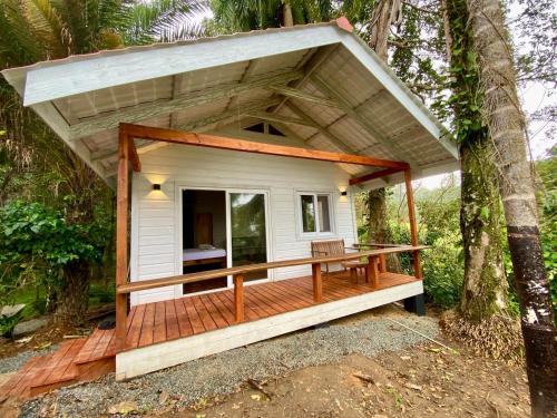 a tiny house with a porch in the woods at Bird Island Bungalows in Bocas del Toro