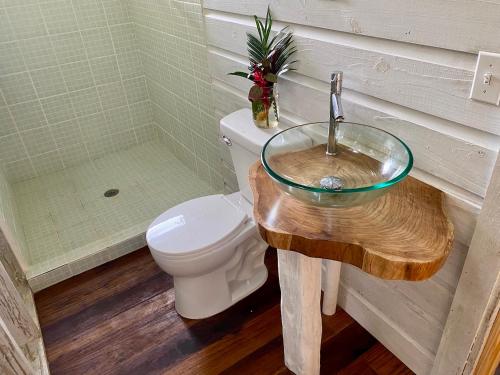 a bathroom with a toilet and a glass sink at Bird Island Bungalows in Bocas del Toro