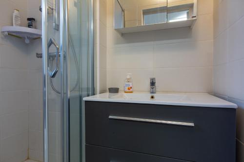 une salle de bain avec un lavabo et une douche dans l'établissement L'Harmonie de Bourges - Charmant appt plein centre, à Bourges