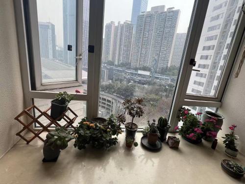 a window with potted plants on a window sill at Rolla Cottage南岸亚太商谷 in Chongqing