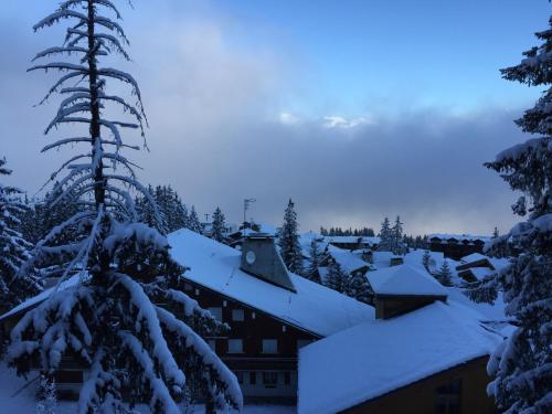 a village covered in snow with a building at Snow Lodge Hotel Courchevel 1850 in Courchevel