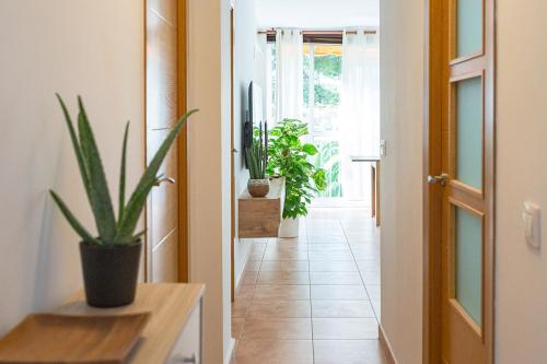a hallway with potted plants and an open door at Apartamento en Benicasim playa in Benicàssim