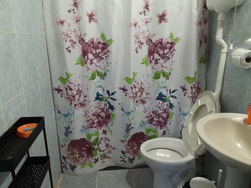 e bagno con tenda per la doccia, servizi igienici e lavandino. di Puerto del sol a Punta Del Diablo
