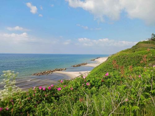 a beach with pink flowers on a hill next to the ocean at Lovely Summer House With Spa, Close To The Beach in Vejby