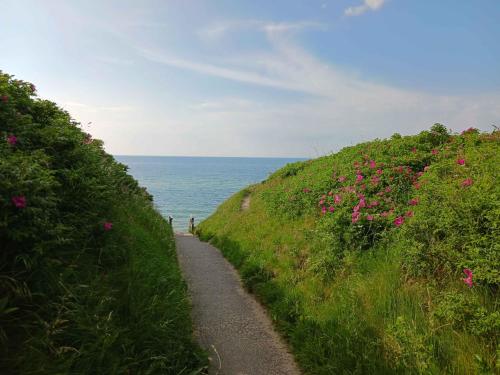 a path on a hill next to the ocean at Lovely Summer House With Spa, Close To The Beach in Vejby