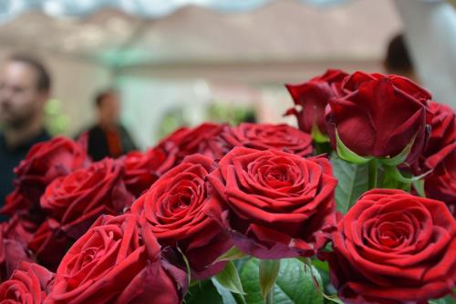 a bunch of red roses in a vase at Hotel Kalenborner Höhe in Kalenborn