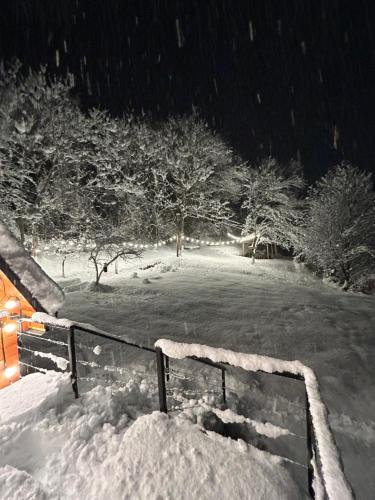 a park covered in snow at night with trees at Ramona in Ambrolauri
