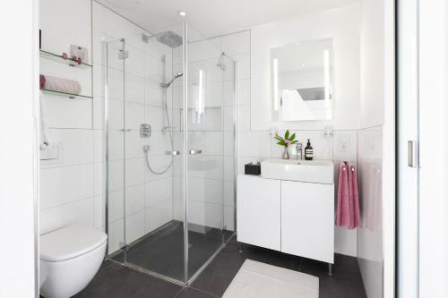 Un baño con ducha, inodoro y lavabo. en Neu PENTHOUSE MoselTop Luxus Design Klima 2P, en Traben-Trarbach