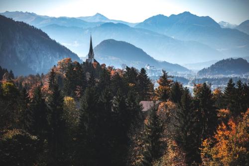a church on top of a hill with trees at Kaiserhaus Harald Astner Ebbs Studio 2 in Ebbs