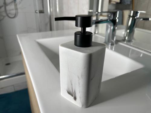 - un distributeur de savon assis sur un lavabo dans la salle de bains dans l'établissement Le Roch - T3 Cosy & Spacieux, à Amiens