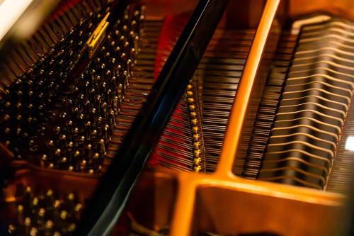 Φωτογραφία από το άλμπουμ του Jena The Grand Piano Suite στη Γιένα