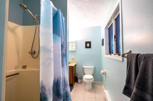 a bathroom with a toilet and a shower with a shower curtain at Home Tucked into Towamensing Trails in Albrightsville