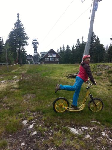a young child riding a bike in a field at Apartmány Yellow in Horní Maršov
