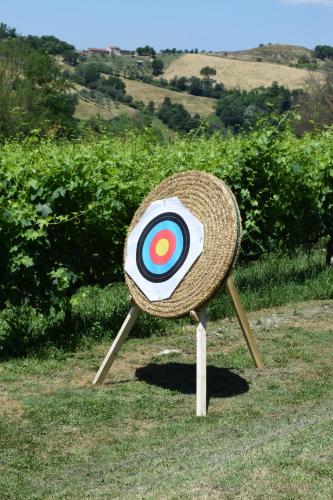 a target sitting in the grass in a field at Agriturismo Casale Contessa in Montebuono