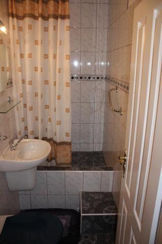 a small bathroom with a sink and a shower at Pension Beránek in Prague