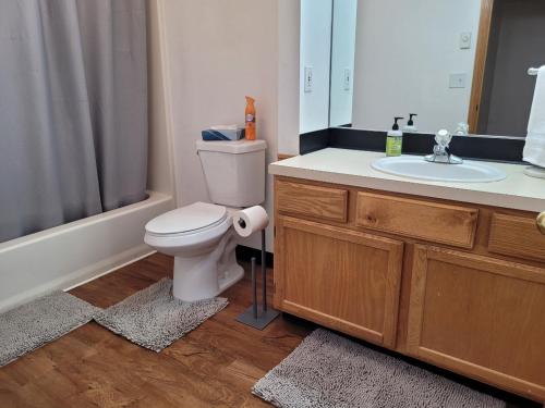 a bathroom with a toilet and a sink at Sunstone House in Portland