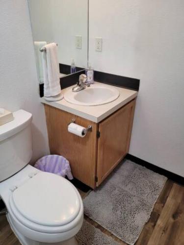 a bathroom with a white toilet and a sink at Sunstone House in Portland