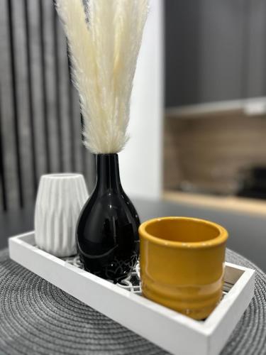 Fotografie z fotogalerie ubytování Apartment SaGo v destinaci Clausthal-Zellerfeld