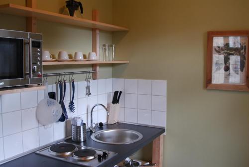 Кухня или кухненски бокс в Apartments Merlin