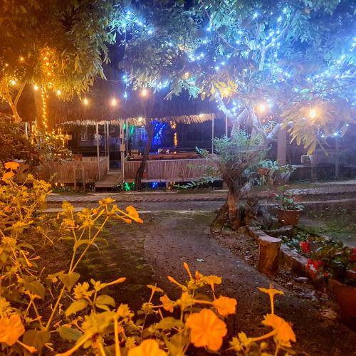 a garden lit up at night with lights at Tuấn huyền vlog homestay in Mộc Châu