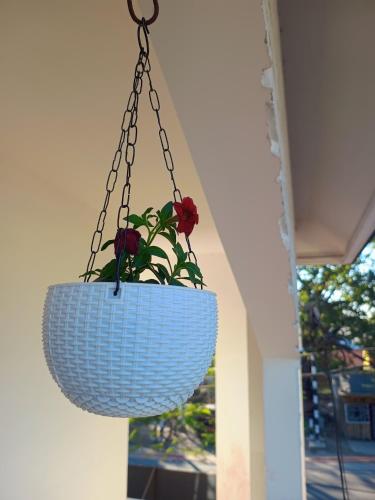 Φωτογραφία από το άλμπουμ του Whimsical Woods Home Stay σε Tezpur