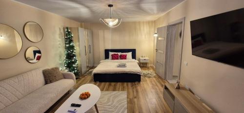 En eller flere senge i et værelse på Ina Herastrau