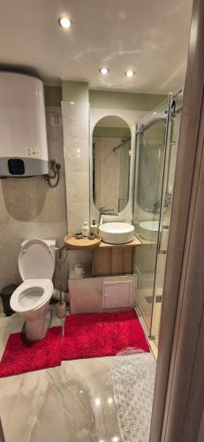 un baño con inodoro y lavabo en Ina Herastrau, en Bucarest