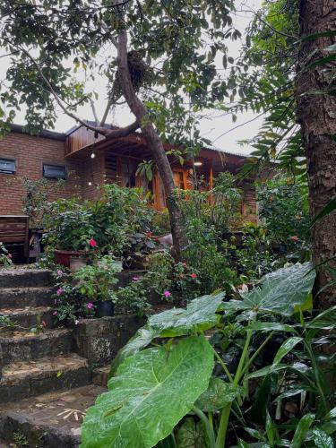 a house with plants and stairs in front of it at Lanh's Homestay Bảo Lộc in Bao Loc