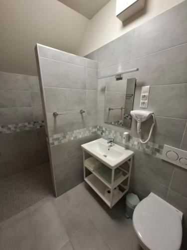a bathroom with a sink and a toilet and a mirror at Silver Lodge Boutique Rooms Eger in Eger