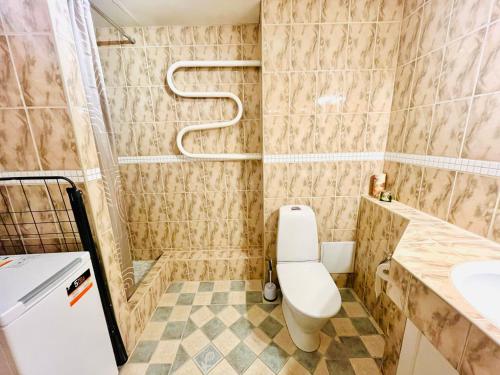 a bathroom with a toilet and a sink at Vabaduse apartment in Võru