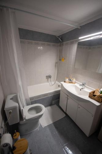 Anatoli 3 bedroom City Central Apartment