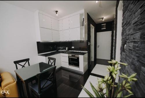Kuchyň nebo kuchyňský kout v ubytování Apartmani Kastel 4