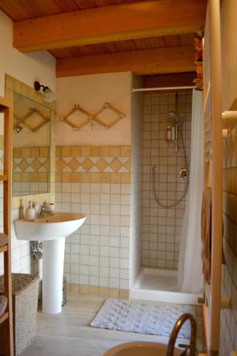 a bathroom with a shower and a sink at La Maison De Toyen in Nus