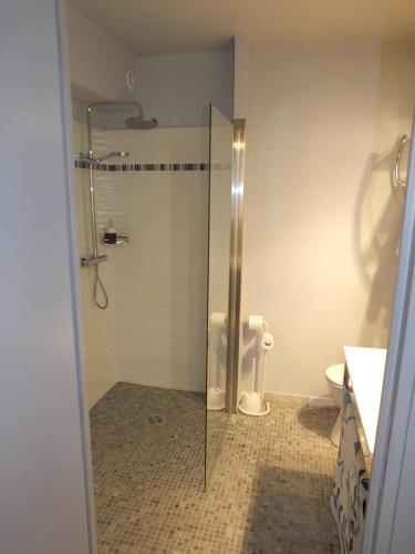 une salle de bain avec une douche en verre et des toilettes dans l'établissement Gite Pago, à Villefranche-de-Rouergue