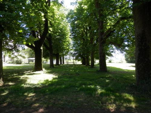 a row of trees in a park with green grass at Château Ardilleux in Ardilleux