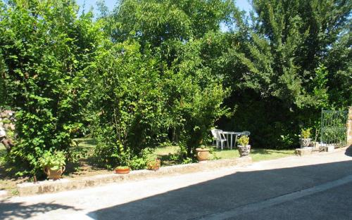 a street with trees and plants on the side of a road at Gite dans un cadre agreable in Salernes