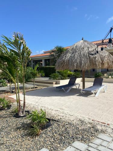 two chairs and a straw umbrella and palm trees at Pura Vida Aruba appartement Cama in Noord