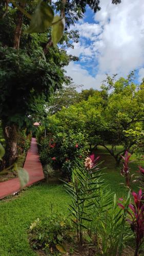 Gallery image of Hotel Canto de Ballenas in Uvita
