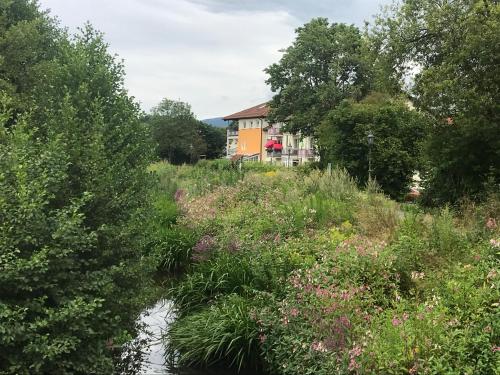 a house in the middle of a river with flowers at Ferienresidenz Am weißen Regen in Bad Koetzting