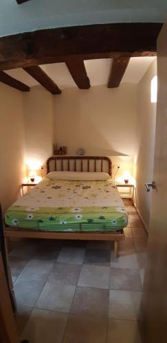 a bedroom with a large bed in a room at Ca la Mariana in Organyà