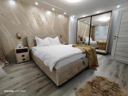 a bedroom with a large bed and a mirror at Studio Vale in Hunedoara