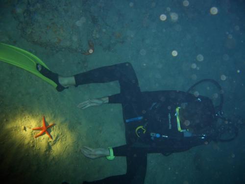 a person in a wetsuit standing next to a starfish at Aspri Villa in Ammoudia