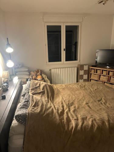 une chambre avec un grand lit et une télévision dans l'établissement Leffy 2 chambres confortable à la campagne, à Verniolle