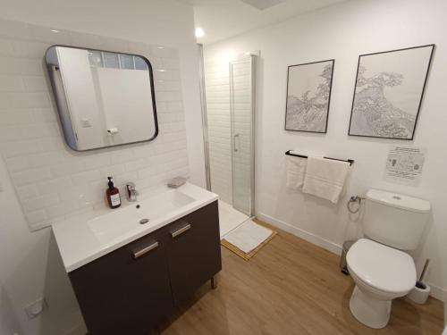 une salle de bain avec toilettes, lavabo et miroir dans l'établissement Cosylocation - Cocooning- Vue Théâtre Antique, à Vienne