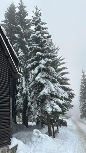 L'établissement MONTANA apartment 21 en hiver