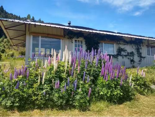 un jardín con flores púrpuras frente a una casa en Una Morada en la Montaña, en El Bolsón