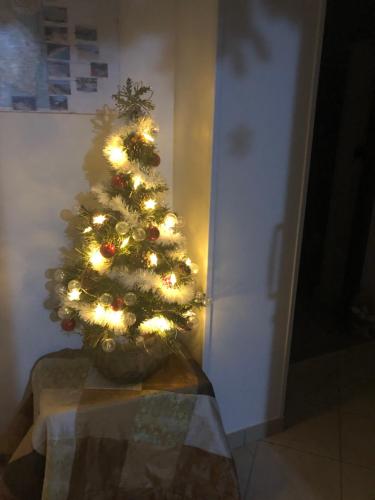a christmas tree with lights in a room at CASE VACANZA ZOE - LUNA in Serrano