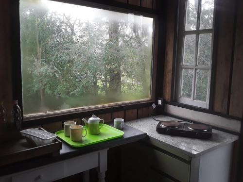 a kitchen counter with a green tray with two coffee mugs at Cabaña Doña Teresa 3 Huéspedes in Tigre